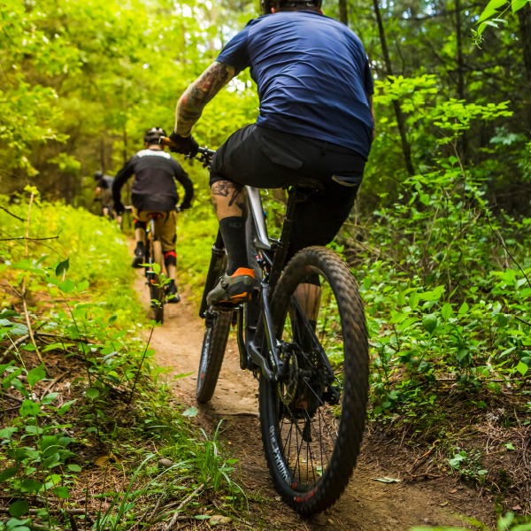 Parks & Trails