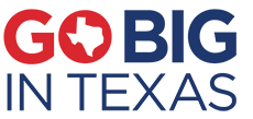 Logo for Texas ZoomProspector